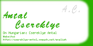 antal csereklye business card